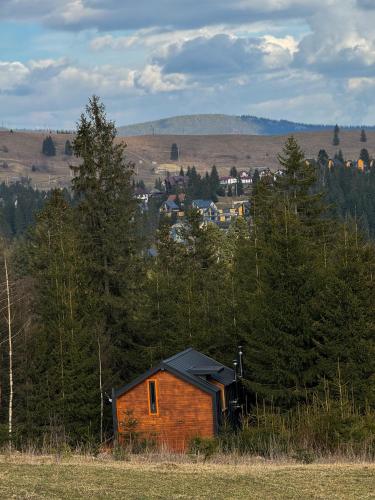 a small wooden house in a field with trees at Chili Shale in Yablunytsya