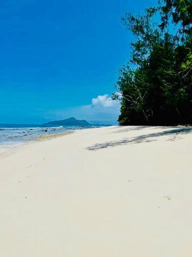 a white sandy beach with a tree on it at Villa Club Tropicana Carana with infinity pool in Machabee