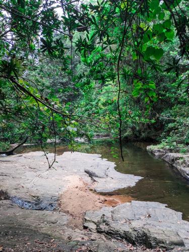a river in a forest with rocks and trees at Sinharaja Pitadeniya Villa in Deniyaya