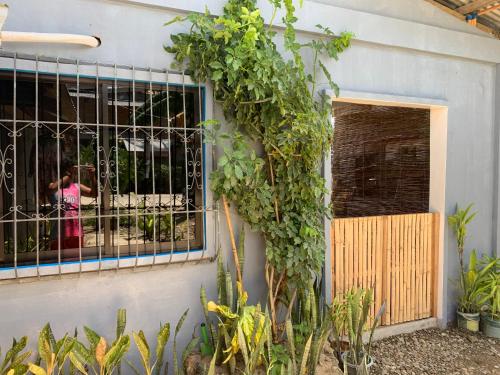 a facade of a building with a window and plants at Jaydy hostel in General Luna