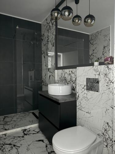 クルジュ・ナポカにあるBLACK APARTAMENTの黒と白のバスルーム(トイレ、シンク付)