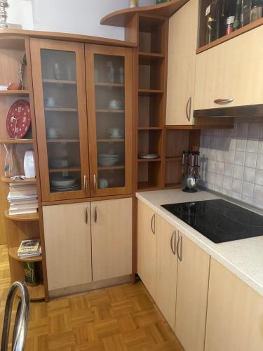 a kitchen with wooden cabinets and a counter top at ZIDANICA MEDLE in Otočec