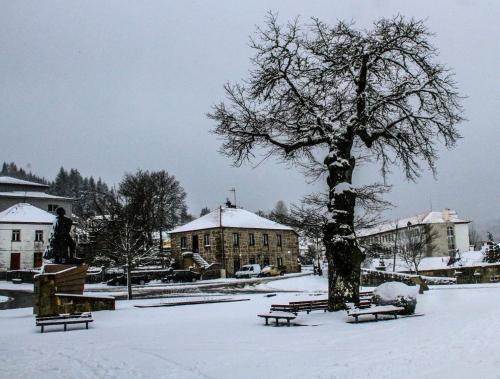 un parque cubierto de nieve con bancos y un árbol en Refúgio do Agricultor - Gerês, en Montalegre