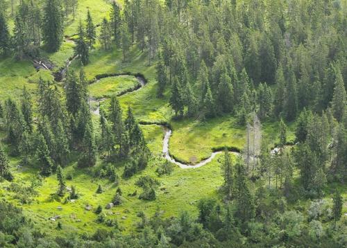 an aerial view of a river in a forest at Horská chata Termoska in Rokytnice nad Jizerou