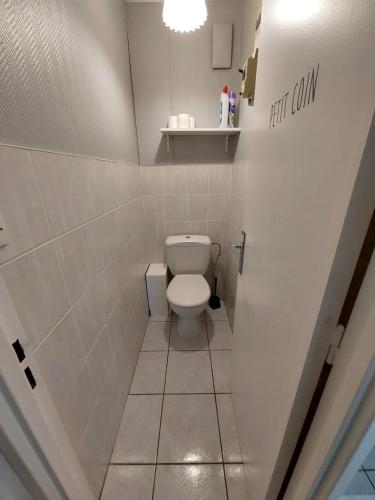 a small bathroom with a toilet in a room at L'appart d'Eugénie société selogerametz com in Metz
