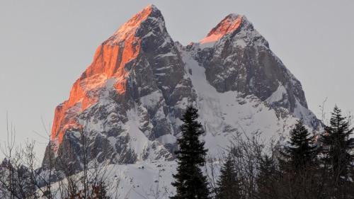 a large snow covered mountain with trees in front of it at Heshkili huts and cabins Svaneti in Keshkili
