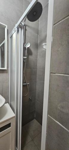a shower with a glass door in a bathroom at Sen's Studio in Leskovac