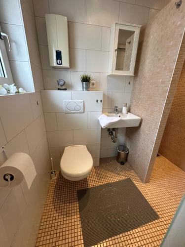 a small bathroom with a toilet and a sink at Ferienhaus Lönnehus in Fehmarn