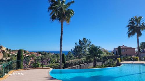 une piscine avec un palmier en arrière-plan dans l'établissement Seaview house, close Cannes, pool, garden. garage, à Théoule-sur-Mer