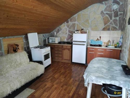 cocina pequeña con nevera blanca y fogones en Villa Rashkov, en Kočani