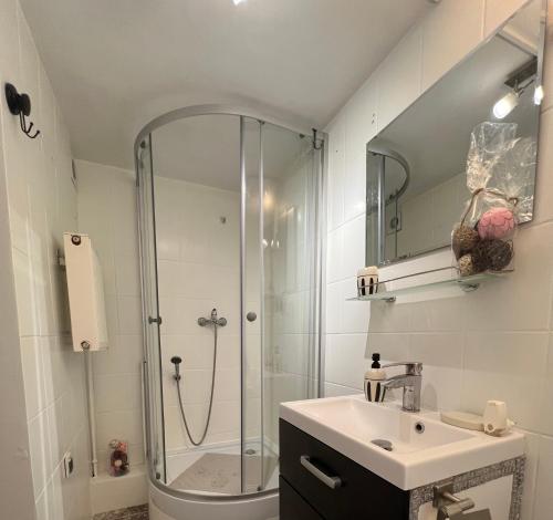 a bathroom with a shower and a sink at Apartament w Dworku pod Twierdzą in Kłodzko