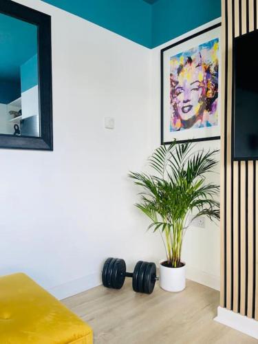 a living room with a potted plant and a mirror at Tiger House - Driveway & Garden. Airport location! in Luton