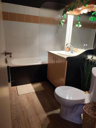 une salle de bain avec toilettes et lavabo dans l'établissement Le Cosy Fleuri, à Ustou