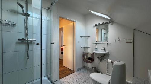 a bathroom with a shower and a toilet and a sink at Sudur-Bár Guesthouse in Grundarfjordur
