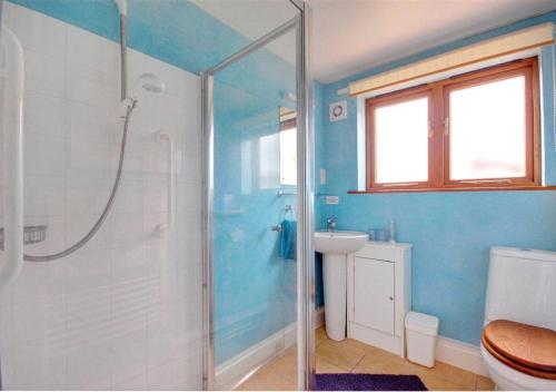 a bathroom with a shower and a toilet and a sink at Crofters in Blaxhall