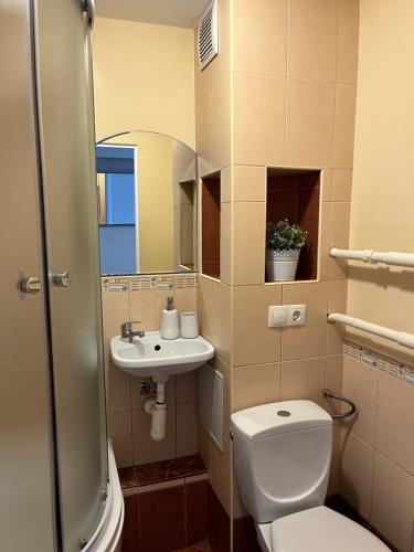 Baño pequeño con aseo y lavamanos en Maxima apartments, en Daugavpils