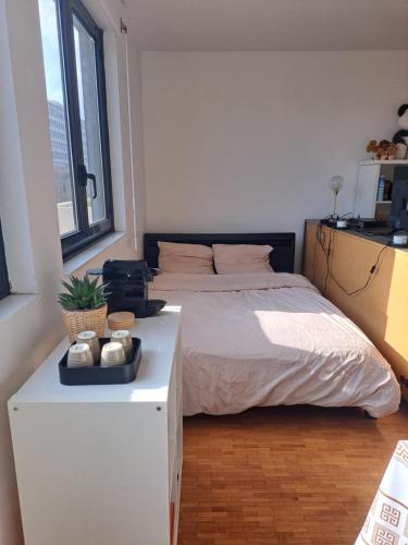 巴黎的住宿－Appartement Paris OG，一间卧室配有床和白色梳妆台