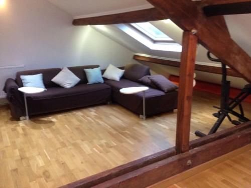 - un salon avec un canapé et une fenêtre dans l'établissement COSY GREENAPPART Versailles/Rambouillet + terrasse privée, à La Verrière