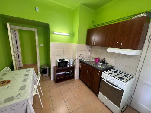 uma pequena cozinha com paredes verdes e um lavatório em Family Friendly Apartman em Budapeste