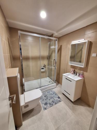 a bathroom with a shower and a toilet and a sink at Apartment Teodo magico in Tivat