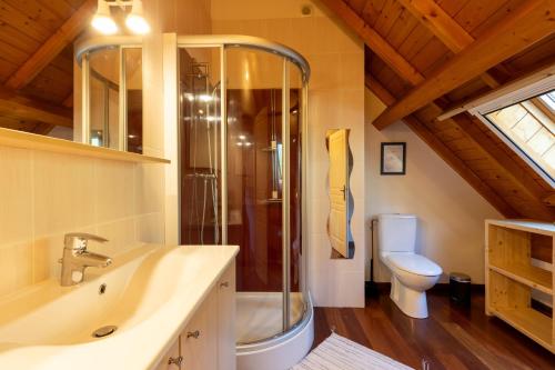 a bathroom with a shower and a sink and a toilet at Gîte Le Bédat in Ayzac-Ost