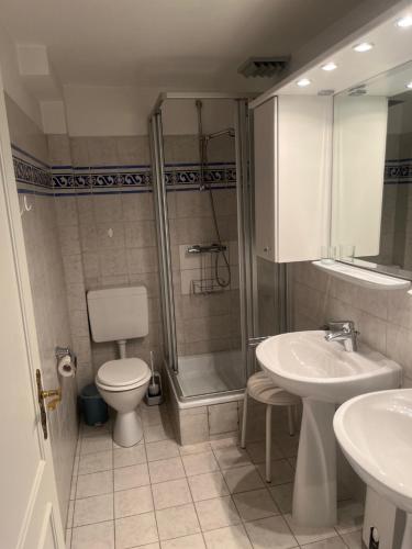 ヴェニングシュテットにあるAmelandのバスルーム(シャワー、トイレ、シンク付)
