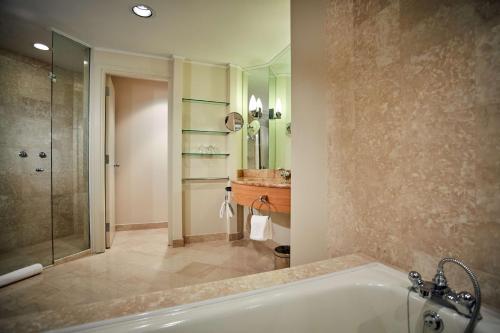 a bathroom with a tub and a shower and a sink at Hyatt Regency Belgrade in Belgrade