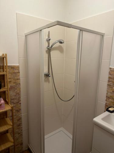 a shower stall in a bathroom with a sink at Kuschelige Ferienwohnung auf Reiterhof 