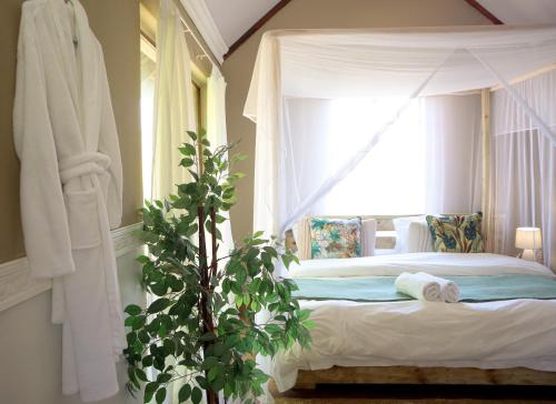 een slaapkamer met een bed met een boom voor een raam bij Quaint Cottage in Graskop