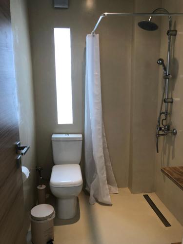 a bathroom with a toilet and a shower with a window at Studios on the beach in Galaxidi