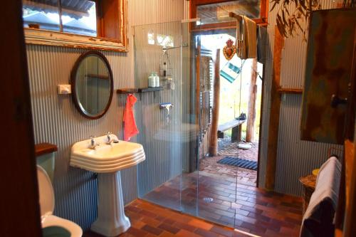a bathroom with a shower and a sink and a mirror at Little House in the Nursery grounded and welcoming in Wallabadah