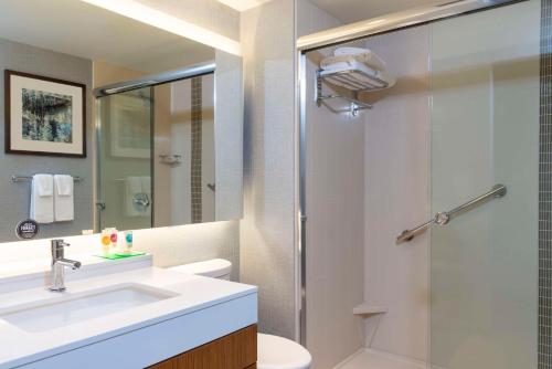 uma casa de banho com um lavatório e um chuveiro em Hyatt Place Detroit/Royal Oak em Royal Oak
