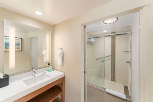 a bathroom with a sink and a shower at Hyatt Place Greenville Downtown in Greenville