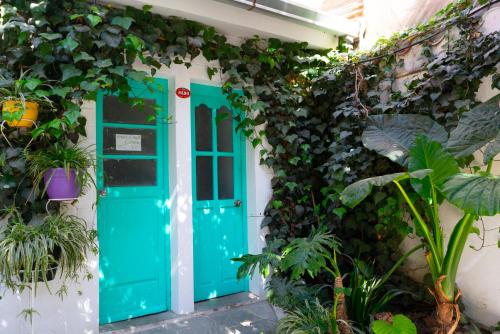 Κήπος έξω από το Casa Blanca Hostel
