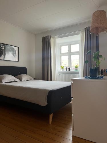 um quarto com uma cama e uma janela em Anna em Aalborg