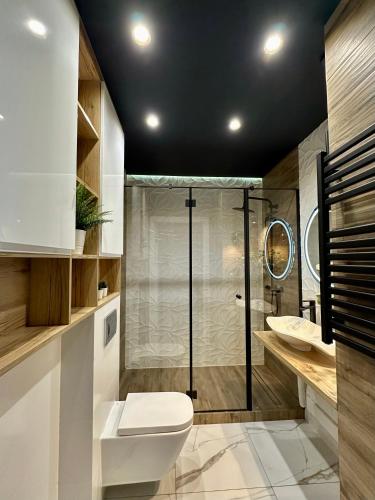 a bathroom with a shower and a toilet and a sink at Blisko Gór Szyndzielnia in Bielsko-Biala
