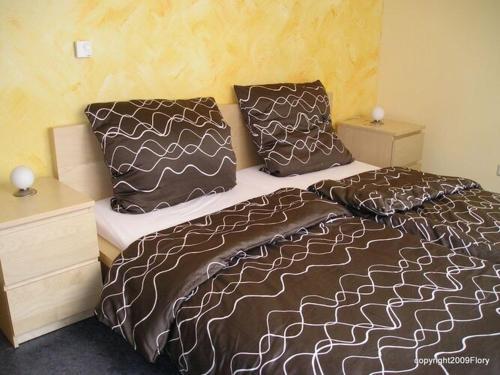 1 dormitorio con 2 camas y 2 almohadas en Holiday Apartment Fewo II Fig View, en Speyer