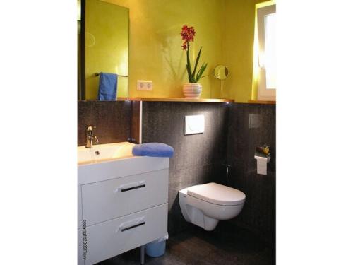 y baño con lavabo, aseo y espejo. en Holiday Apartment Fewo II Fig View, en Speyer