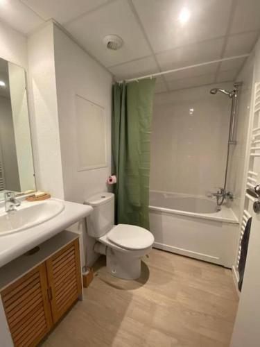 une salle de bain avec toilettes, lavabo et douche dans l'établissement Zénitude, studio clim gare, à Lourdes