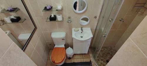 a small bathroom with a toilet and a sink at Premiere Guesthouse in Bloemfontein