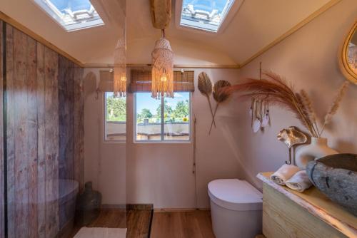 a bathroom with a toilet and a window at Alpacosi Oase - Schlafen unter den Sternen in Zehdenick