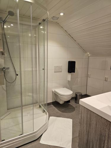 a bathroom with a shower and a toilet at Salteriet in Å