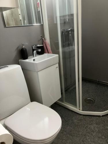 ein Badezimmer mit einem weißen WC und einer Dusche in der Unterkunft Koselig, nyoppusset leilighet in Gjøvik