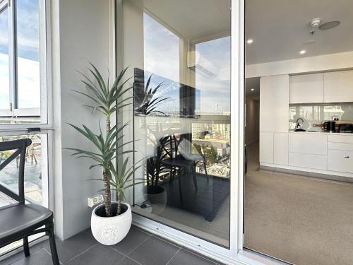a house with a plant in a living room at Penthouse Sky View Apartment CBD 2BR Apartment Balcony Spa Access Sleeps 6 in Adelaide