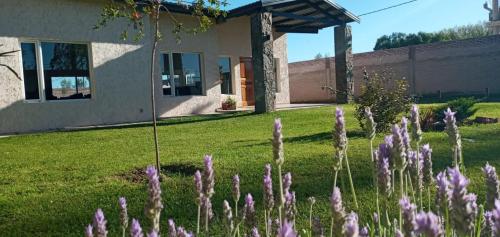 Taman di luar Posada Rojo Malbec