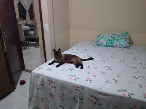 um gato preto deitado em cima de uma cama em Cantinho da Margarete em Santa Cruz Cabrália