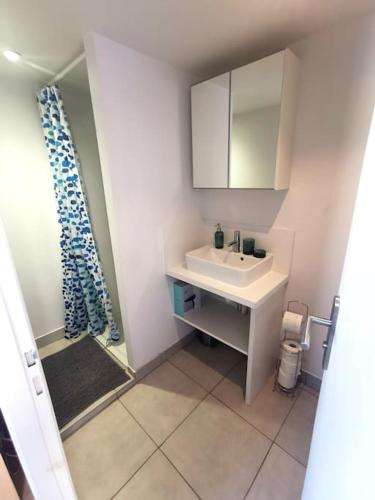 une petite salle de bain avec un lavabo et une douche dans l'établissement Lumineux T1 de 23m2 à 100m des Métro/Tram, à Villeurbanne