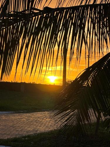 a sunset with a palm tree in the foreground at Espetacular Casa de Charme em São Miguel do Gostoso - Salou in São Miguel do Gostoso