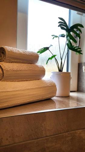 a stack of cutting boards next to a potted plant at Insch House in Kincraig
