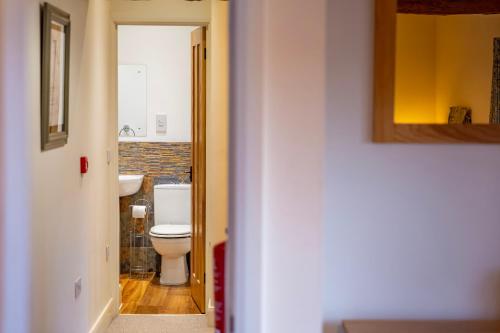 a bathroom with a toilet and a sink at Marina View, Near Canal and Mountains in Brecon